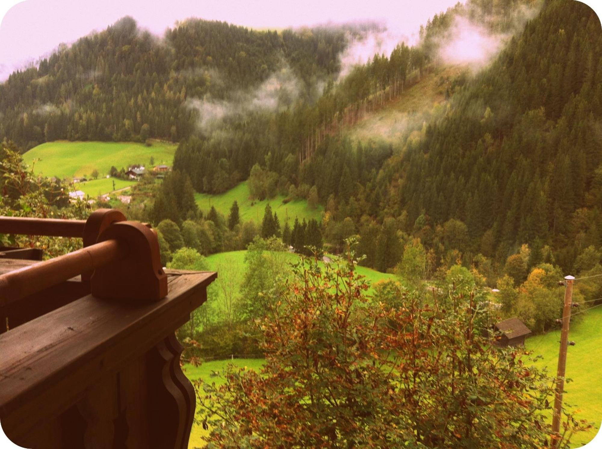 Farm stay Biobauernhof Windbachgut *
