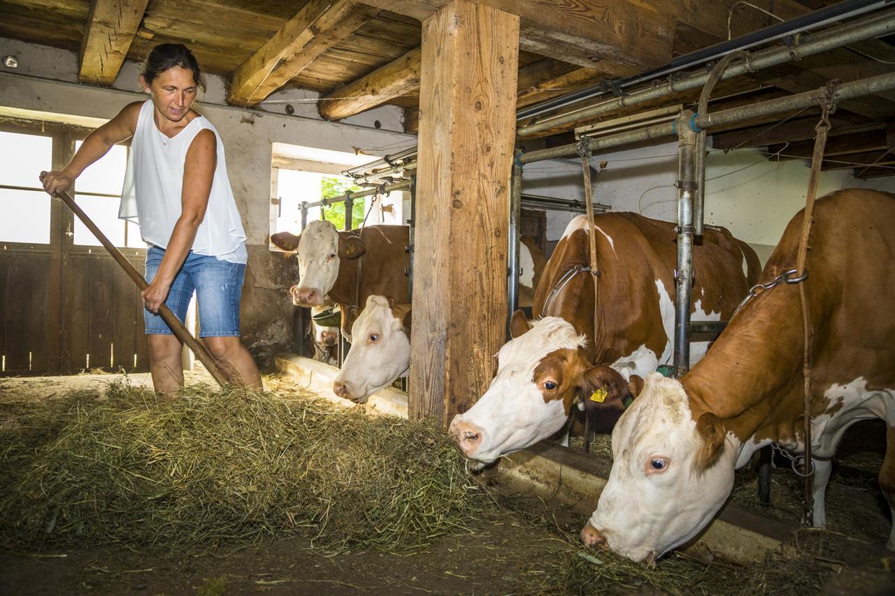 Biobauernhof Windbachgut * Eben Im Pongau