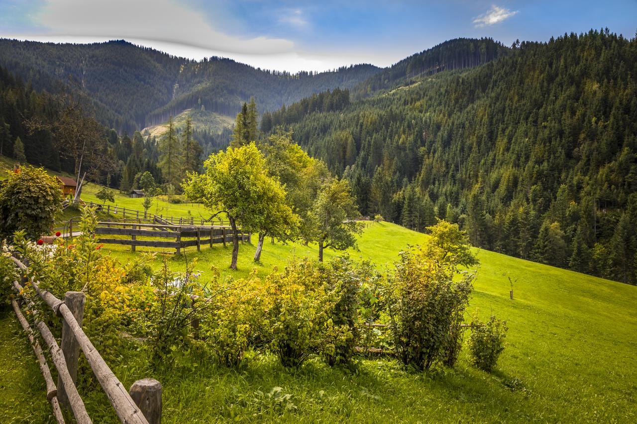 Biobauernhof Windbachgut Farm stay
