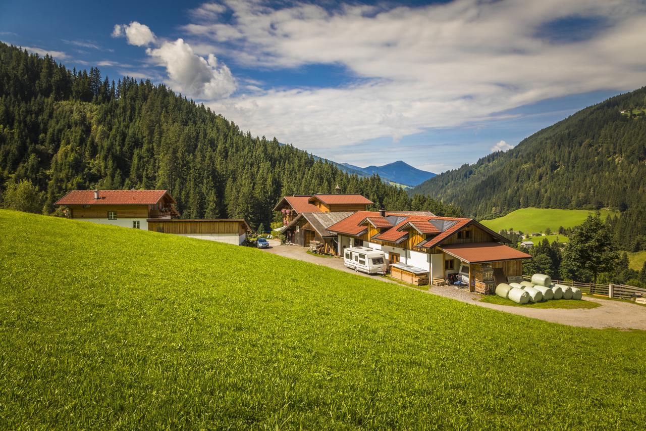 Biobauernhof Windbachgut Farm stay *